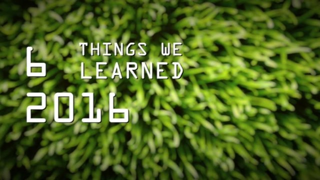 Six things we learned from the Six Nations