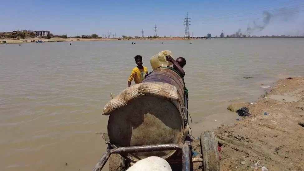 حاوية كبيرة للمياه يجرها حمار