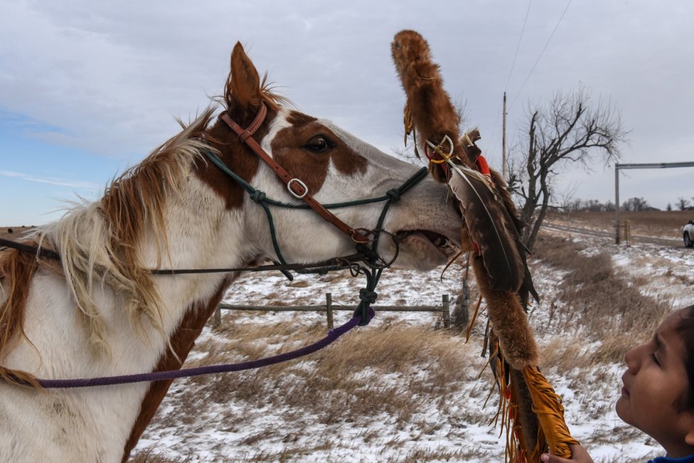 dečak iz Lakota i konj