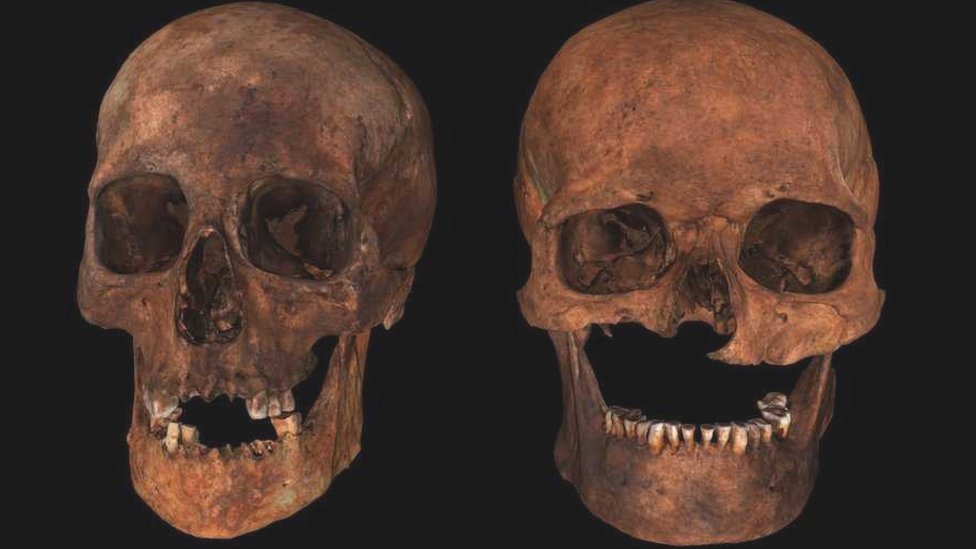 Visualisation of skulls found at Portmahomack