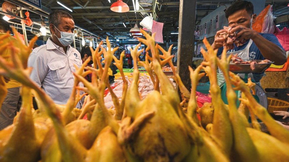 吉隆坡秋傑巴剎（菜市場）內一個家禽攤上已宰好的肉雞（資料圖片）