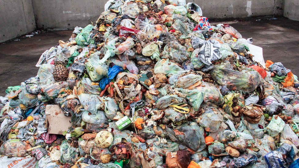Куча пищевых отходов на складе мусора в Бристоле