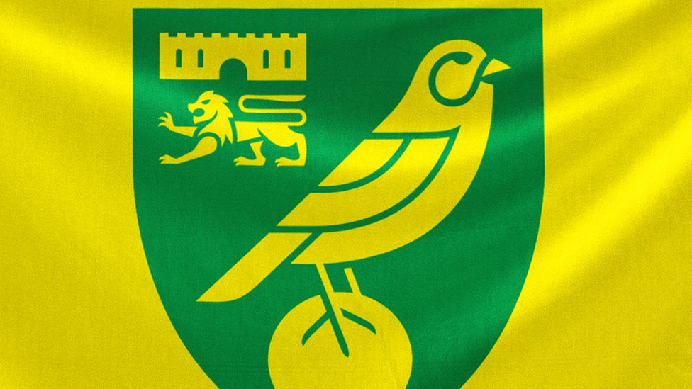 NORWICH FAN FOOTBALL PLAQUE CANARIES HOUSE SIGN 