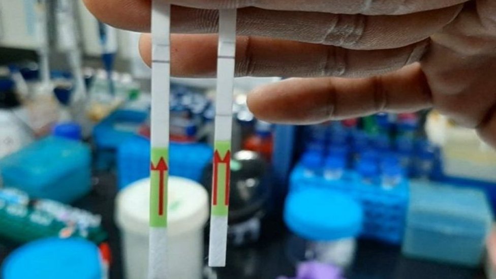 يستعين اختبار "فيلودا" الجديد بتقنية تحرير الجينات لاكتشاف الإصابة بالفيروس