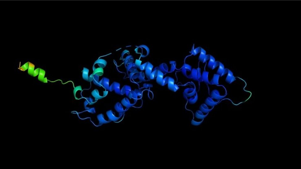 El modelo computarizado de una proteína