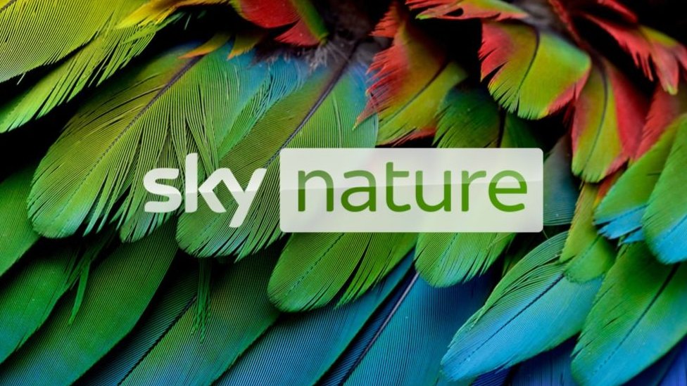 Сегодня открывается новый канал Sky о природе - программы HDR доступны по запросу