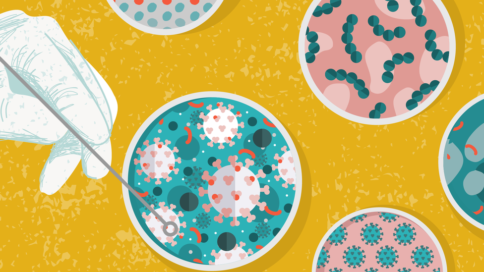 Ilustração de vírus em placas de petri