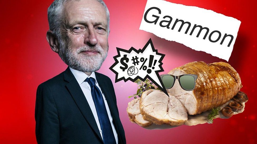 Left-wing internet phrases: gammon, melts and slugs