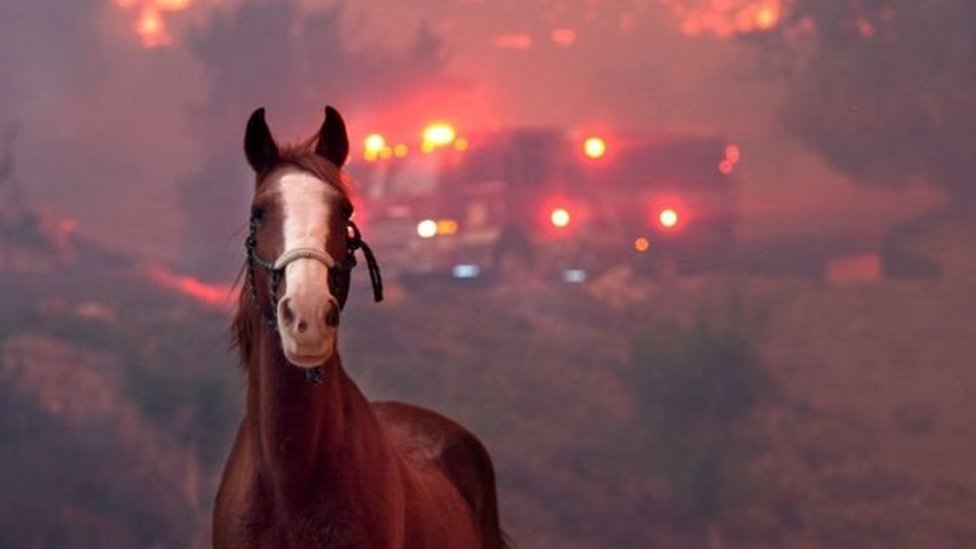 Sejumlah orang hilang di negara bagian, sementara kebakaran dengan cepat menyebar.