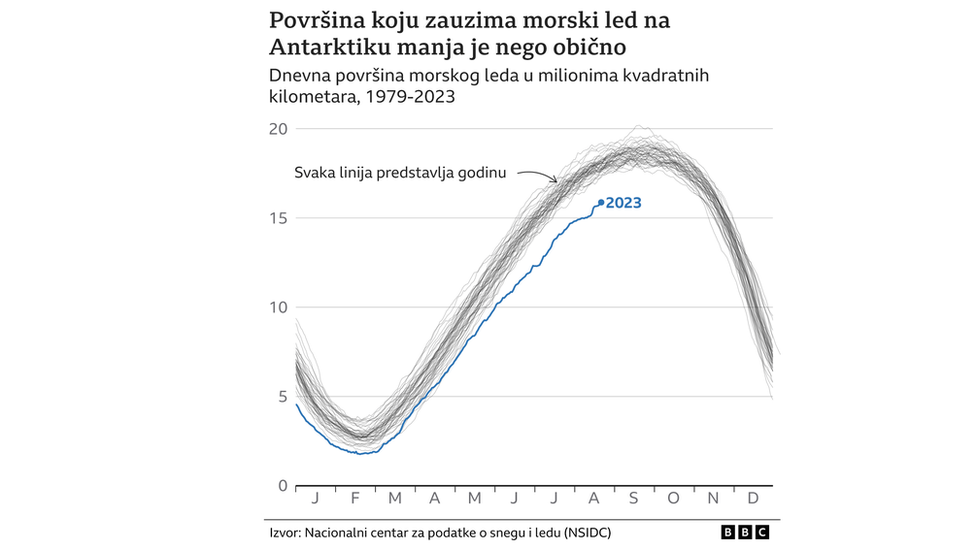 Površina morskog leda