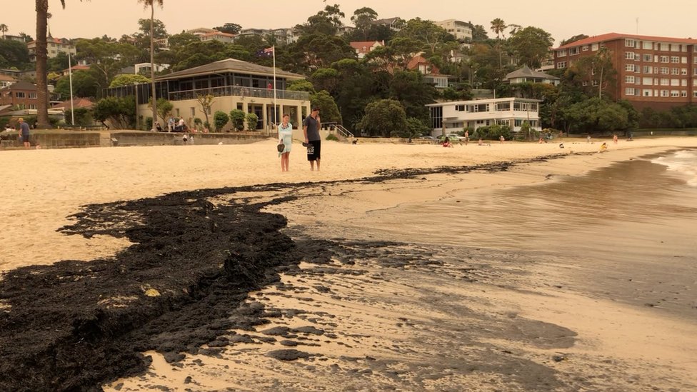 Черный пепел покрывает пляж Балморал в Сиднее
