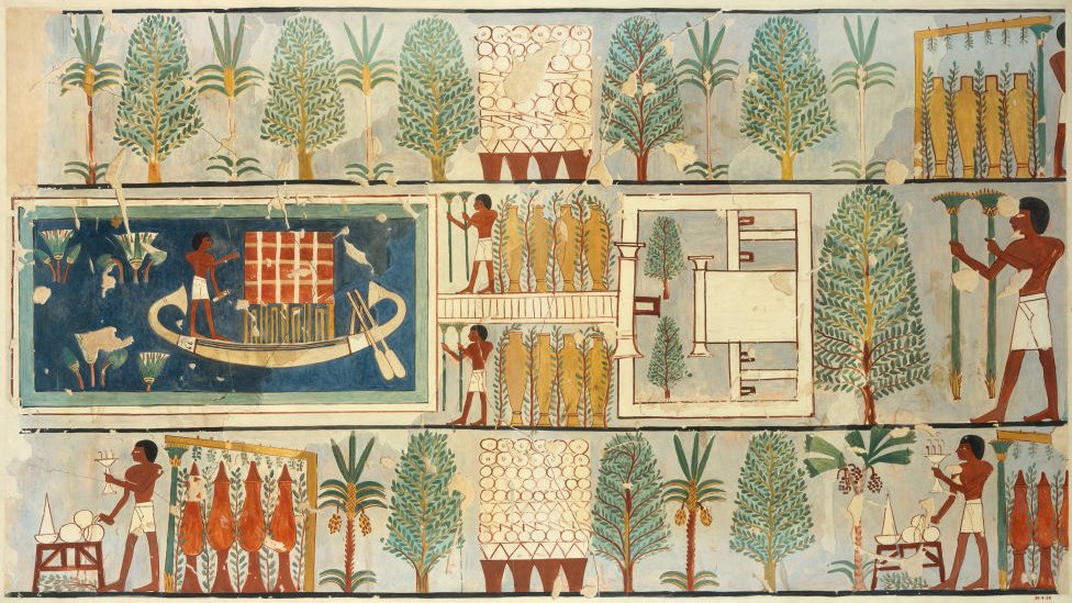 رسوم مصرية قديمة لمجموعة من الزراعات المصرية