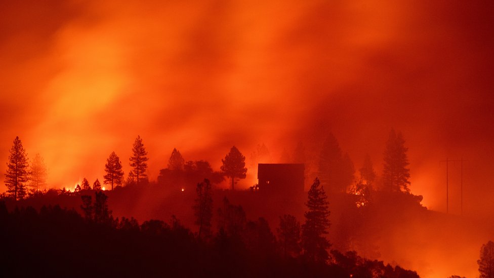 California'daki yangınlar ABD'nin yüz yıldır gördüğü en kötü yangındı
