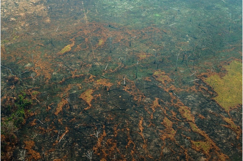 Aerial view of burnt areas of the Amazon rainforest, near Boca do Acre, Amazonas state, Brazil, in the Amazon basin, on August 24, 2019