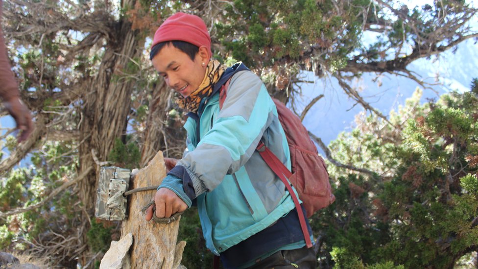 Tshewang Gurung setting up a camera-trap on a mountain in Upper Dolpo region of Western Nepal