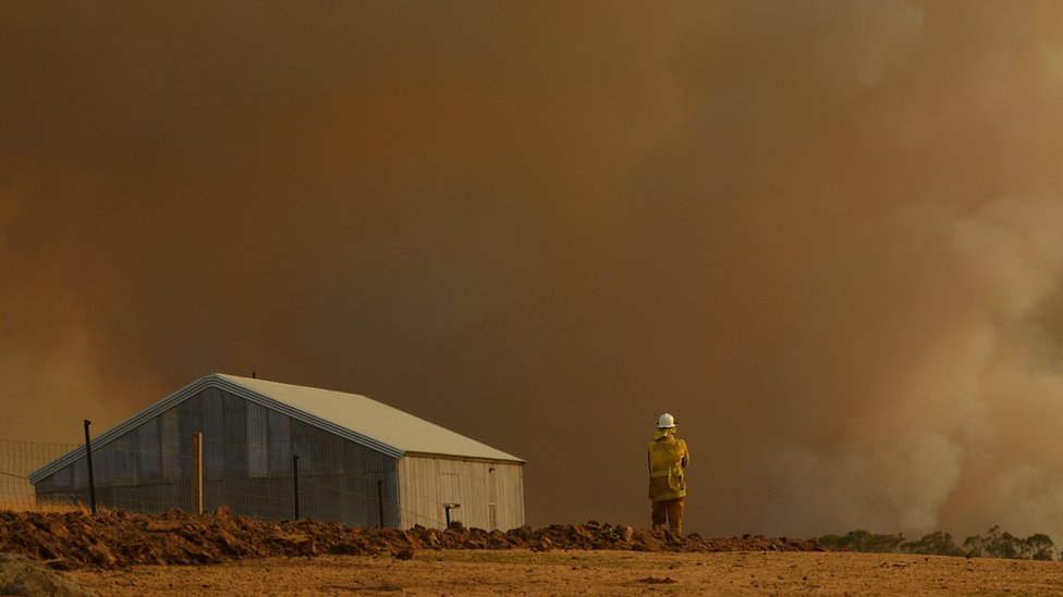 Пожарный сельской пожарной службы смотрит на дым в Новом Южном Уэльсе в январе 2020 года.