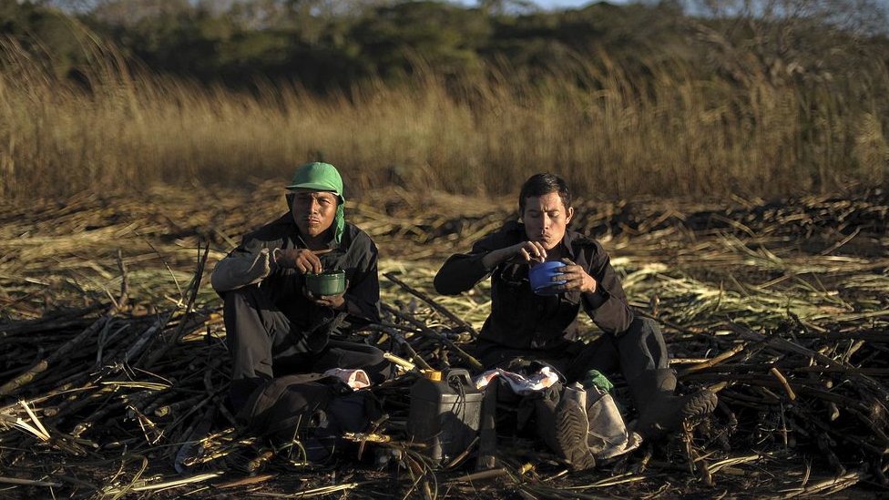 Trabajadores de la caña en Nicaragua