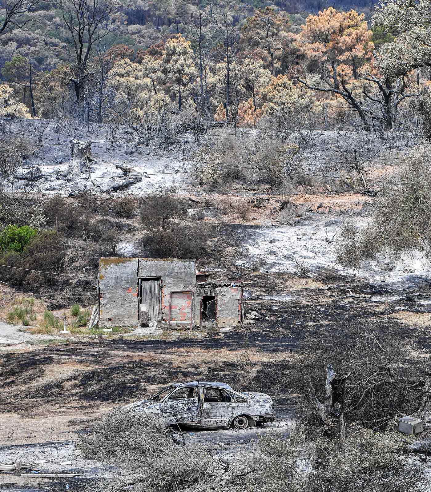 ​​A burnt vehicle sits amid the aftermath of a wildfire near Melloula in northwestern Tunisia - 26 July 2023