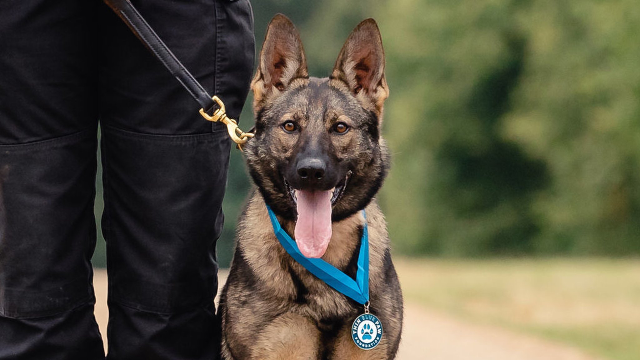 Is Dog Pepper Spray Legal In Uk