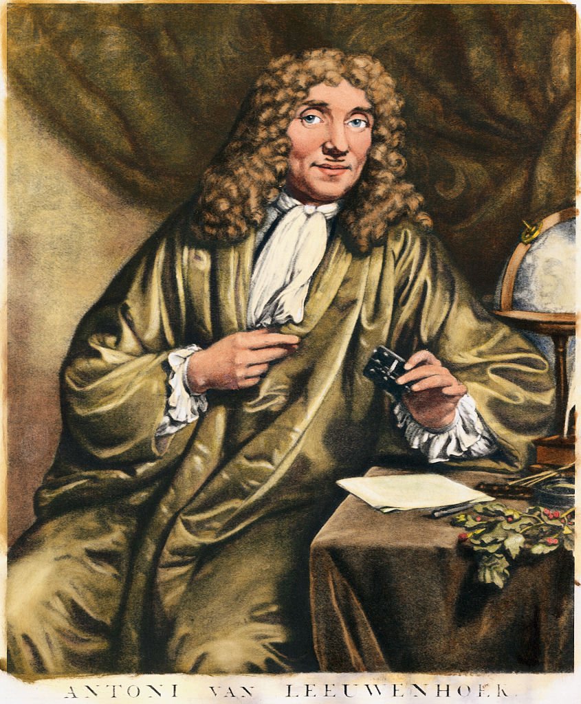 Dibujo de Anton van Leeuwenhoek