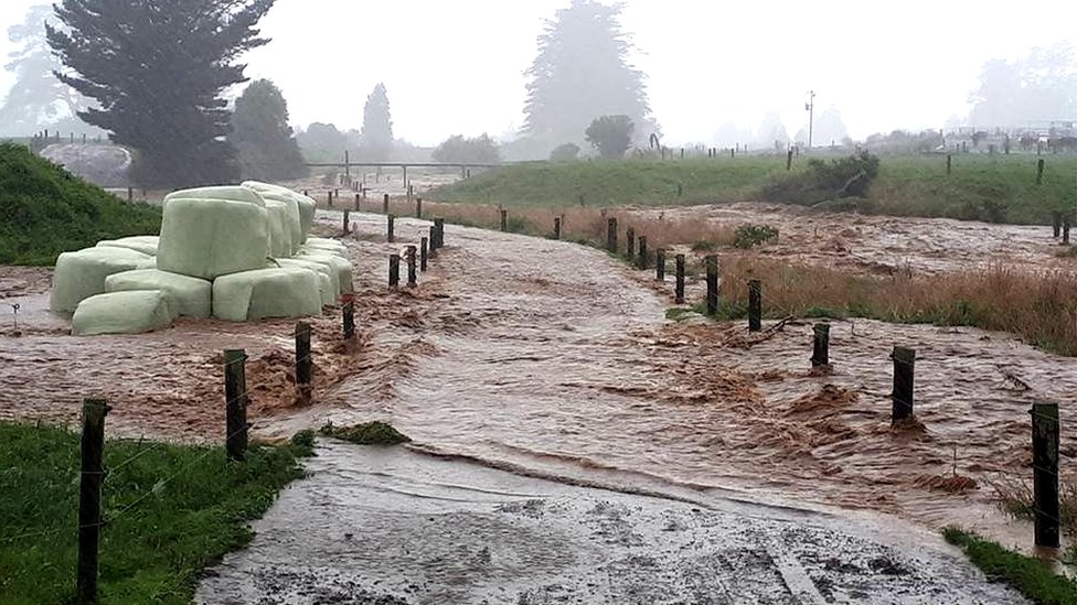 Затопленная ферма в Бейнхэме, Новая Зеландия, 20 февраля 2018 г.