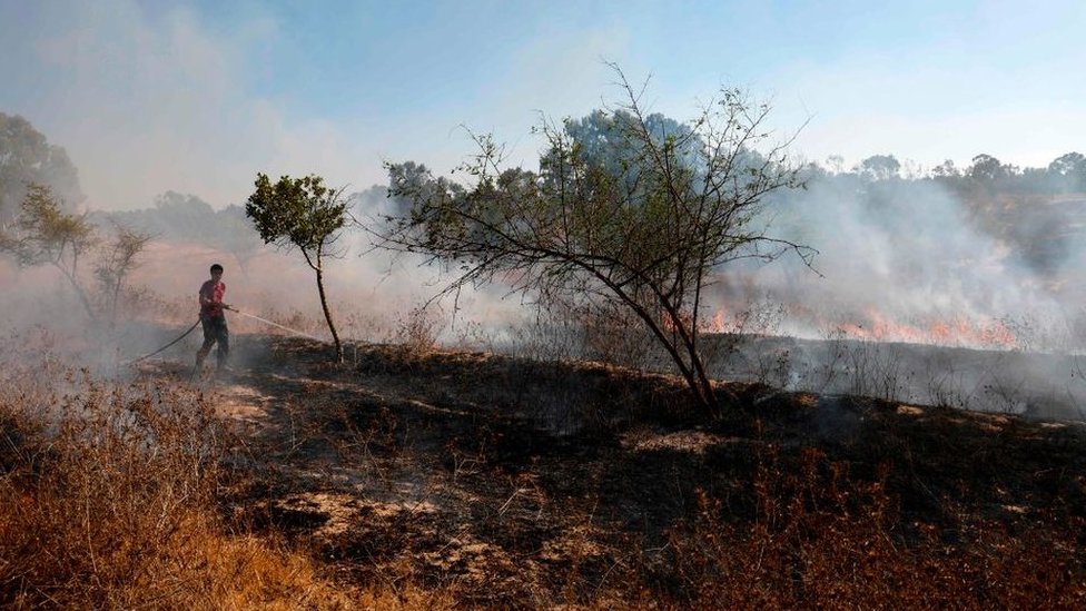 Израильский пожарный тушит пожар возле кибуца, рядом с сектором Газа, вызванный зажигательным воздушным шаром (19 августа 2020 г.)