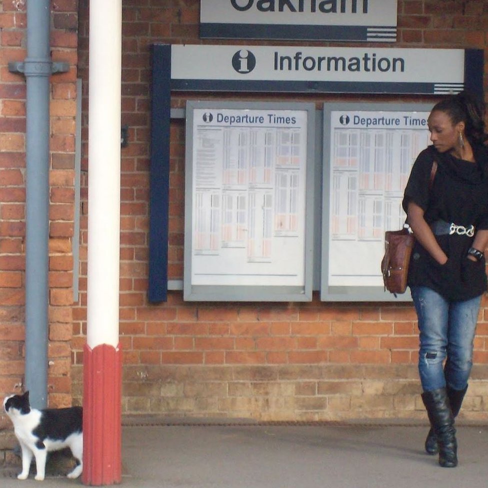 Кот на вокзале Окем