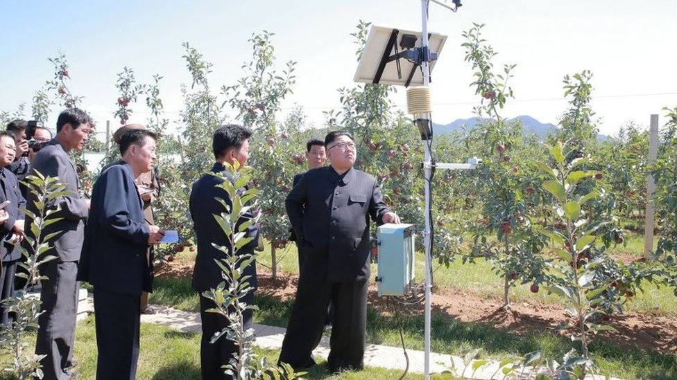 Лидер Северной Кореи Ким Чен Ын посетил фруктовую ферму