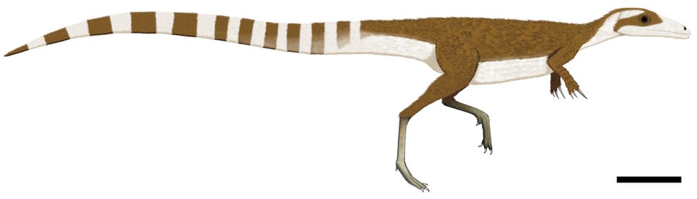 Sinosauropteryx