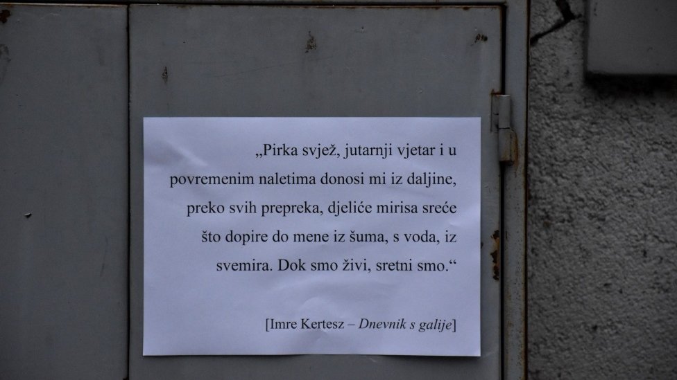 citati, petrinja