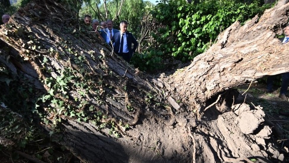 French Interior Minister Gérald Darmanin inspects fallen tree at Sagone campsite in Corsica