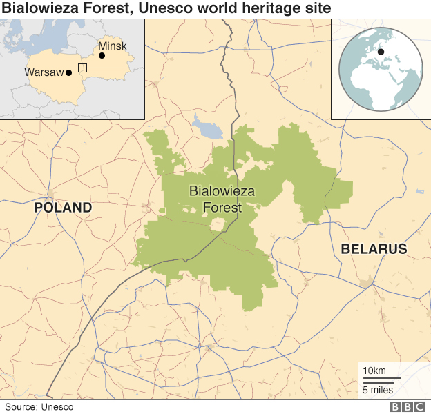 Карта Беловежской пущи