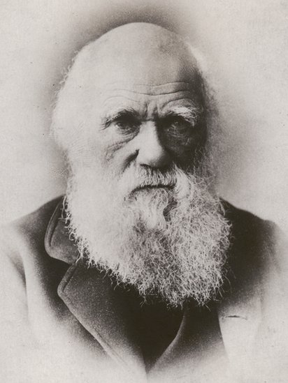 Darwin se topó con fósiles del Macrauchenia en su viaje a la Patagonia. Charles Darwin