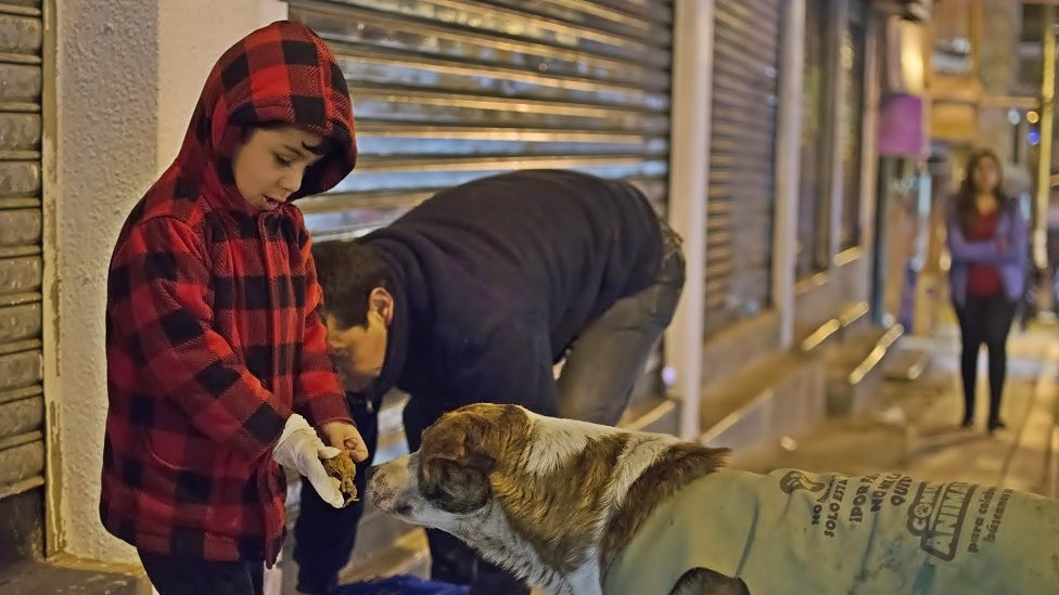 Ferchy y un niño dan de comer a un perro callejero.