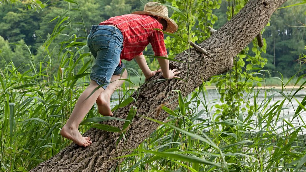 Niño trepando a un árbol