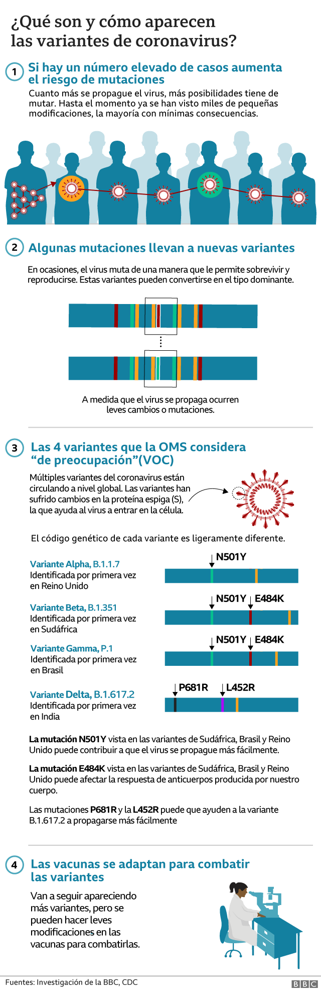 Gráfico de cómo aparecen las variantes