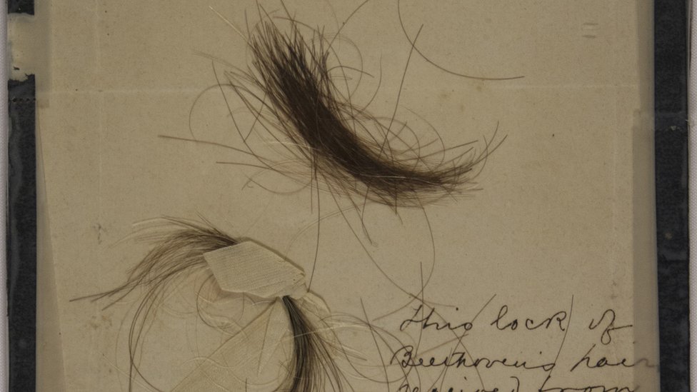 Ludwig van Beethoven's hair