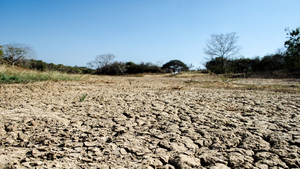 Sequía en Centroamérica