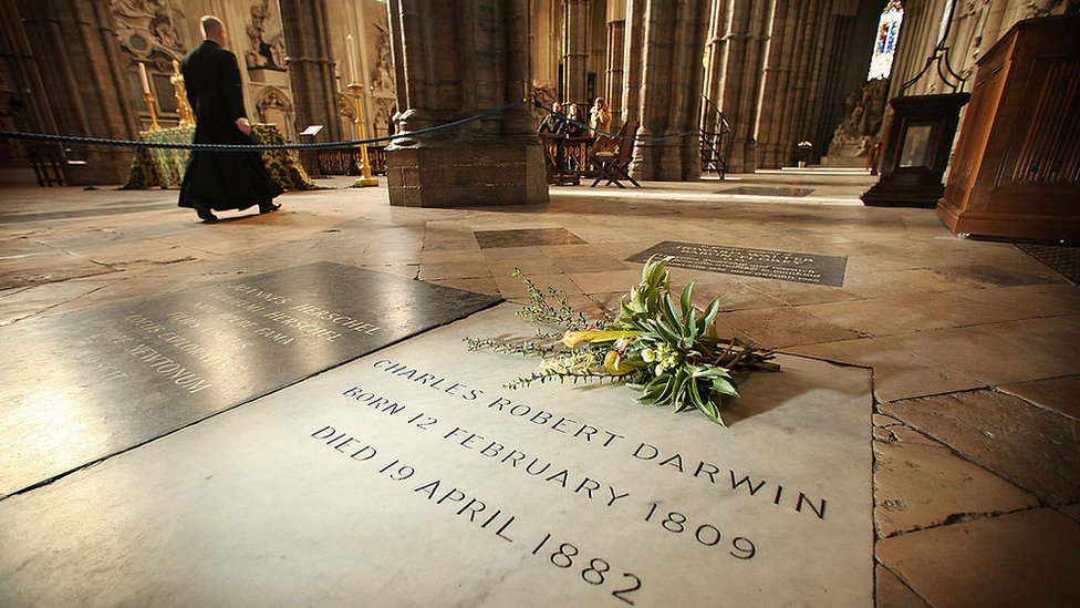 Tumba de Charles Darwin en la Abadía de Westminster.