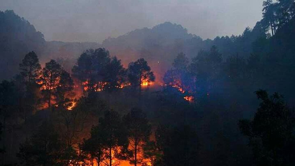 Uttarakhand fires: Battle to douse deadly blaze in Indian state - BBC News