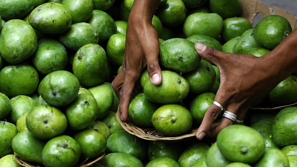 Philippines faces two million kilogram mango surplus BBC News