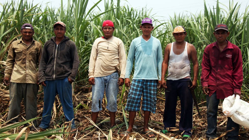 Trabajadores de la caña en Nicaragua