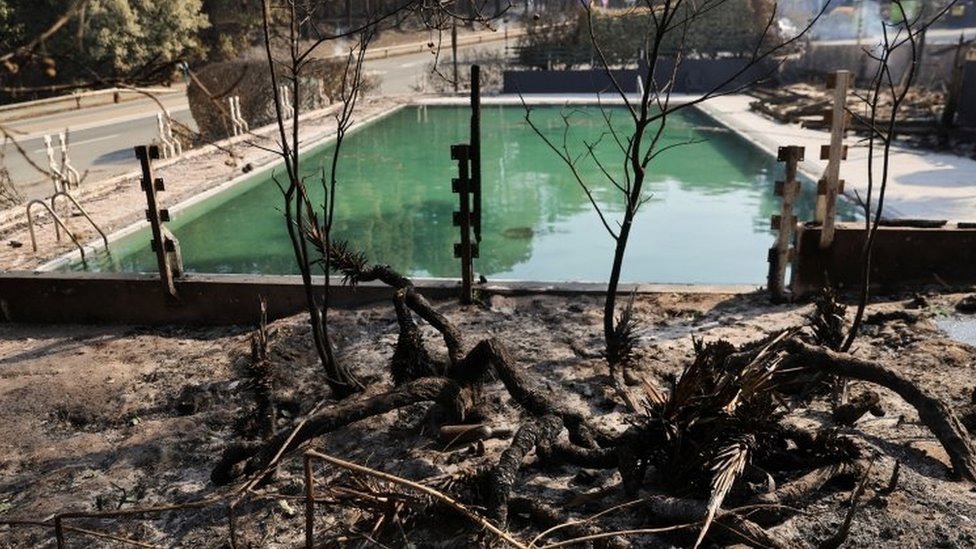 Ugljenisano drveće oko bazena u Francuskoj