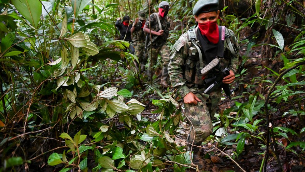 El ELN se mantiene activo ELN