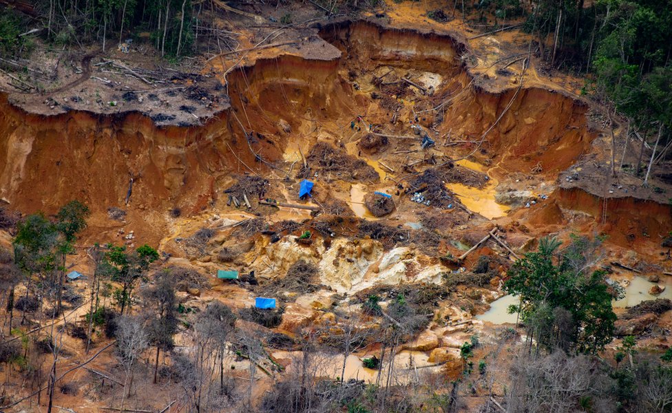Illegal mining camp near the Uraricoera river