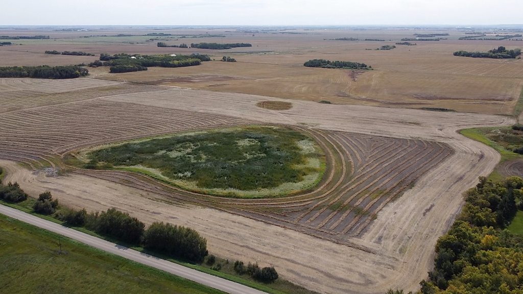 Canadian prairie ranchers struggle with drought conditions