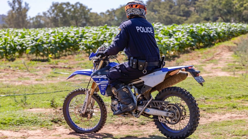 Australia: Watch moment police on dirt bikes raid illegal tobacco farm