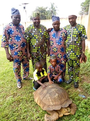 Nigeria S Royal Tortoise Said To Have Lived To The Age Of 344 In Oyo State Bbc News