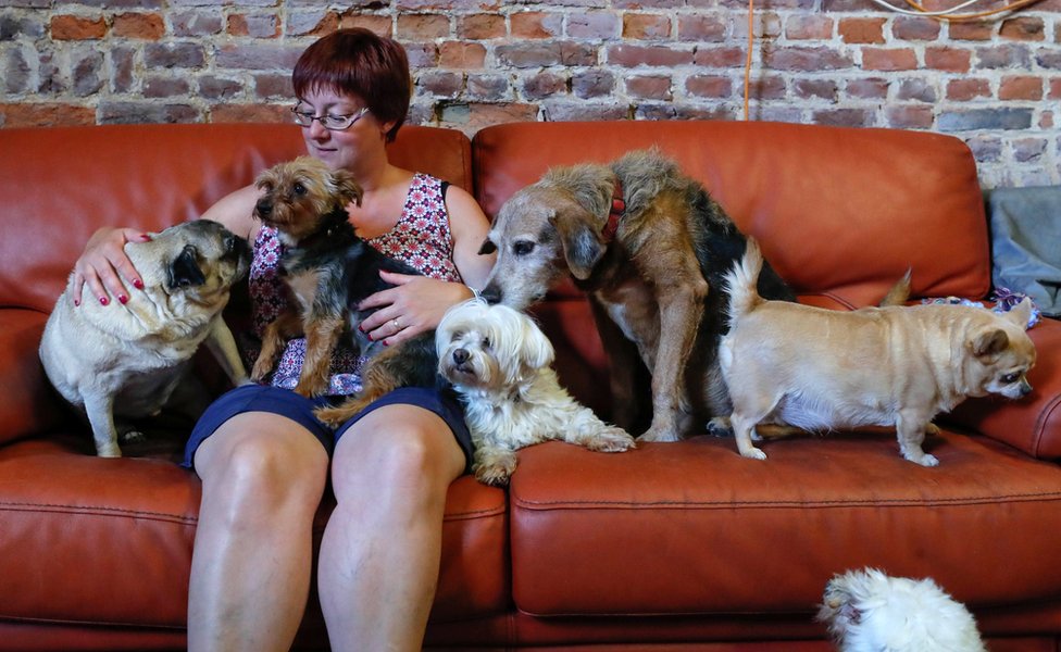Valeri Liks vodi starački dom za životinje