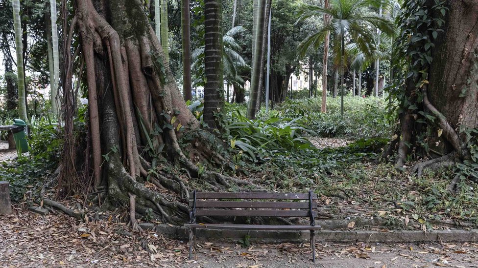 Banco en el Jardín de la Luz